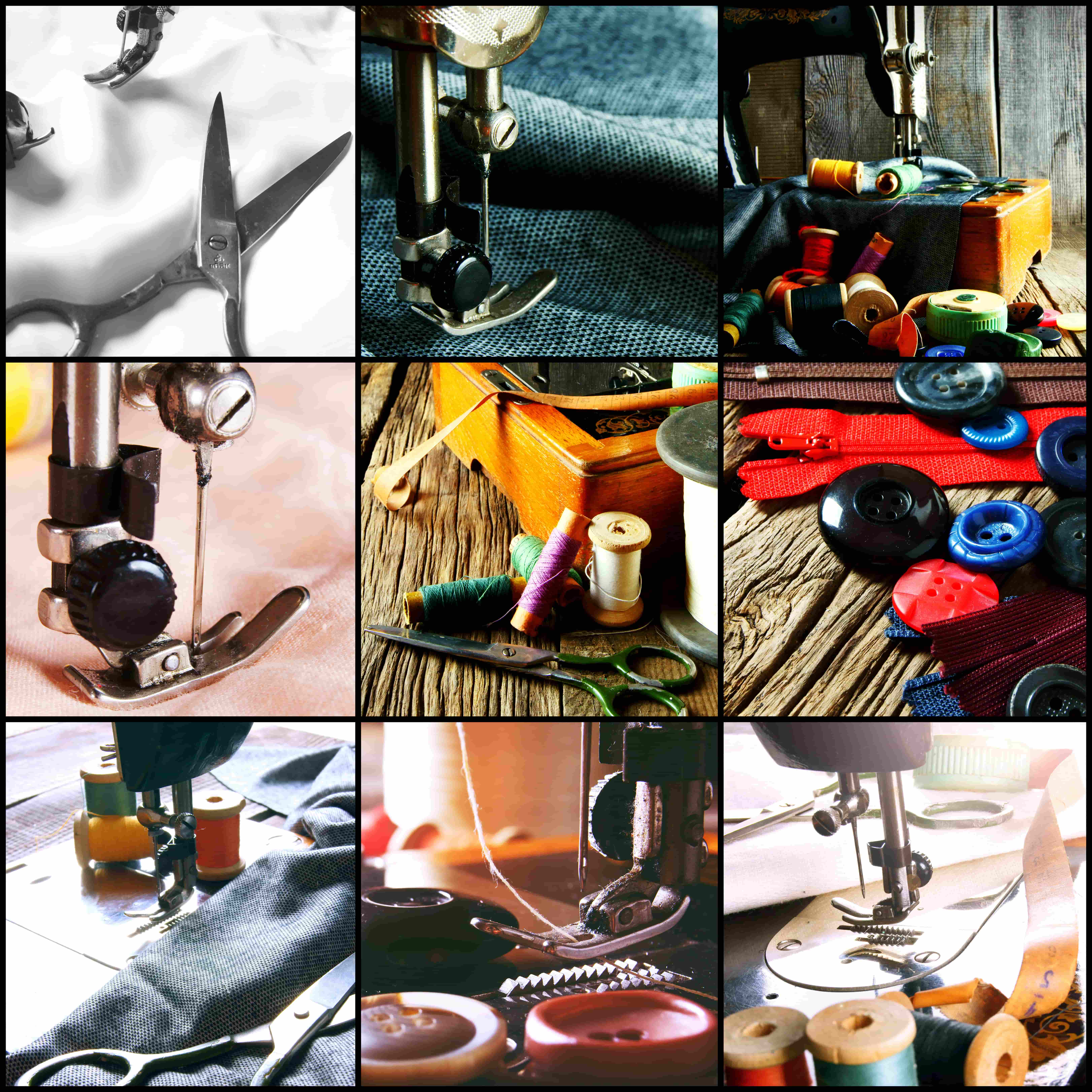 ALT general imagen 5 PLANTSEO